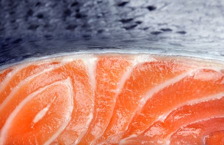fresh salmon on white backgroundの写真素材