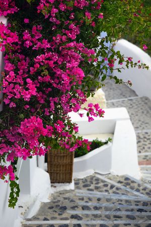 Santoriniの写真素材