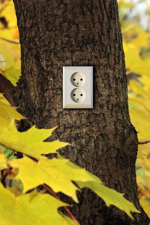 Green energyの写真素材