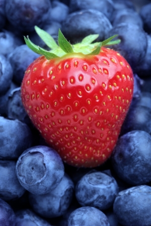 Strawberries and blueberriesの写真素材