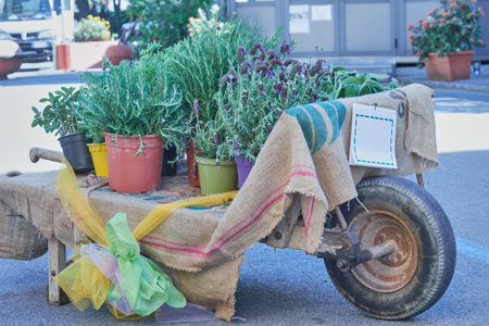 A wooden cart filled with potted herbs sits vibrantly in a busy market. Bright green plants are surrounded by colorful pots and decorative fabric. Sunlight enhances the lively atmosphere.の写真素材