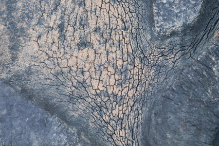 An extreme close-up of a deeply cracked and weathered black rubber surface with light brown dirt in the crevices, showing severe aging and an intricate, abstract pattern.の写真素材