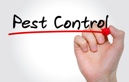 Hand writing inscription Pest Control with marker, conceptの写真素材
