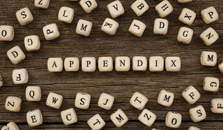 Word APPENDIX written on wood blockの写真素材
