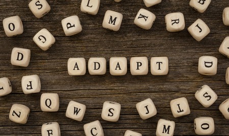 Word ADAPT written on wood blockの写真素材