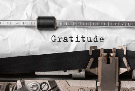 Text Gratitude typed on retro typewriter, business conceptの写真素材