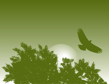 A green illustration of an eagle flying over a tree.のイラスト素材