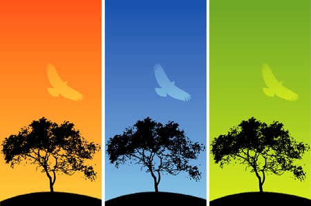 Choice of three colorful backgrounds each with a tree and a bird, has space for textのイラスト素材