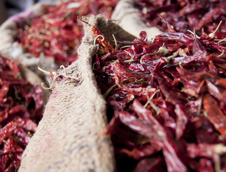 Close up of red chilly peppers in bundles at a marketの写真素材