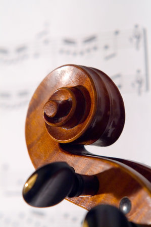 violine head close-up on the white backgroundの写真素材