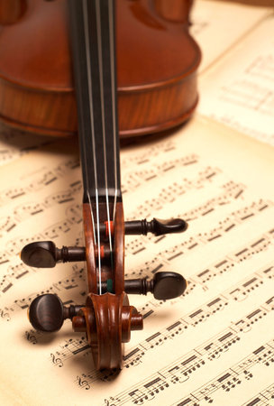 violine head close-up over music notesの写真素材