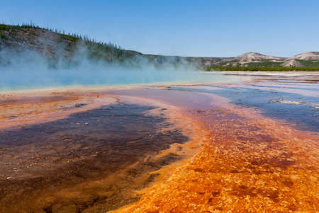 Rising steam creates a mysterious view of Grand Prismatic Spring amidst the colorful bacteria and algae of Midway Geyser Basin.の写真素材