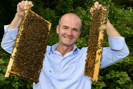 beekeeper at work with honeycomb frameの写真素材