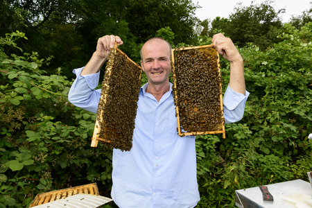 beekeeper at work with honeycomb frameの写真素材