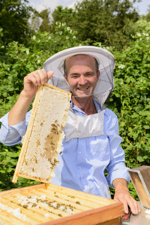 beekeeper at work with honeycomb frameの写真素材