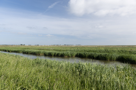 View over meadows to the horizonの写真素材