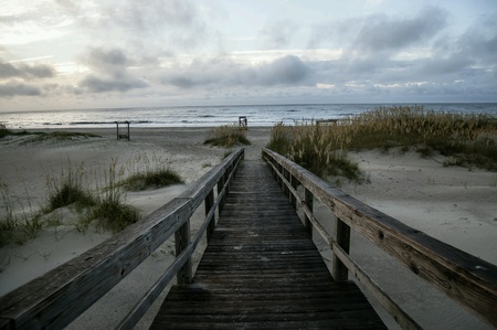 Beach walk upの素材