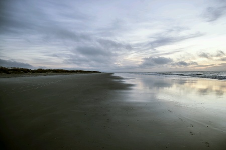 Ocean Viewの素材