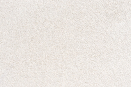 Seashell synthetic leather with embossedの写真素材