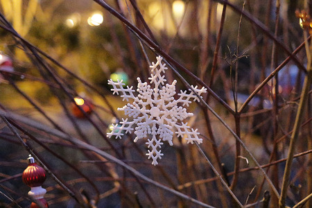 Sidestreet Christmasの写真素材