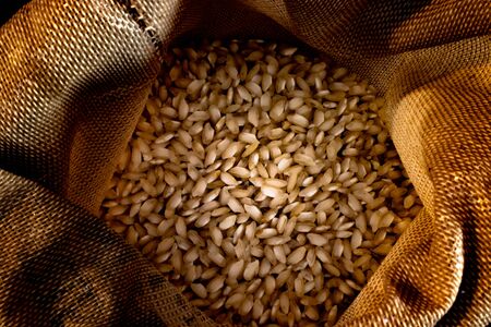 A bag of rustic rice - it looks like gold