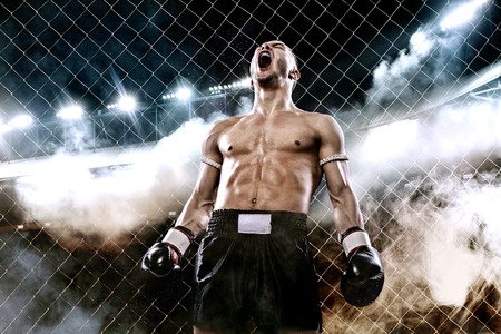 Sportsman Muay Thai boxer celebrating flawless victory in boxing cage. Background with lights and smoke. Copy Space. Sport concept.の写真素材