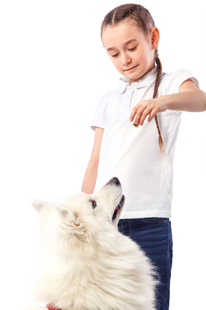 Happy child with white dog. Portrait girl with eating pet. Smilyng Samoyed Laika dog.の写真素材