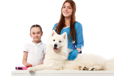 smiling Veterinarian with dog, on table in vet clinic, animal conceptの写真素材