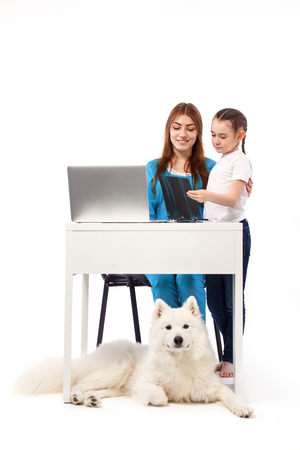 smiling Veterinarian with dog, on table in vet clinic, animal conceptの写真素材