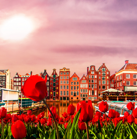 Traditional old buildings, canal and tulips in Amsterdam, Netherlands. Travel photo for postcards and magnets.の写真素材