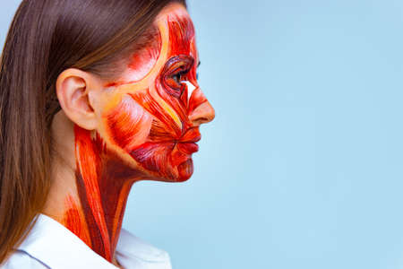 Cosmetology concept. Young woman with half of face with muscles structure under skin. Model for medical training on a light background. Close up photo of face human anantomy.の写真素材