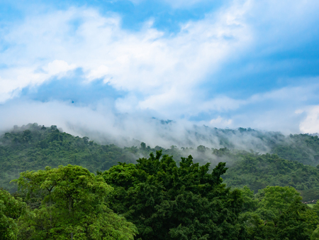 beautiful landscape with green hill and blue sky backgroundの写真素材