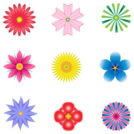 set of colorful flowers, Floral fantasyのイラスト素材