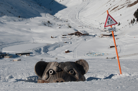 Half Buried Bear in the Snowの写真素材
