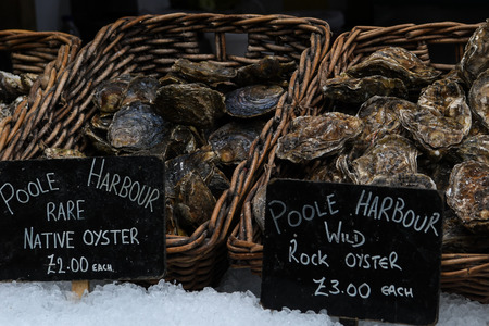 Oysters in Food Marketの写真素材