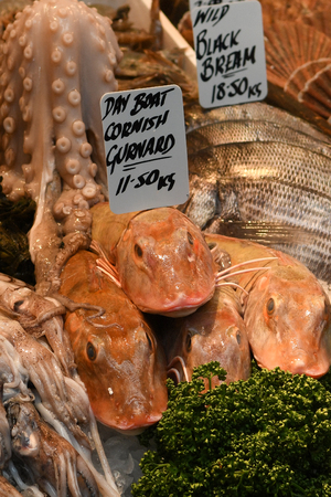 Fish in Food Marketの写真素材