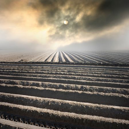 crop farming on the background of clouds