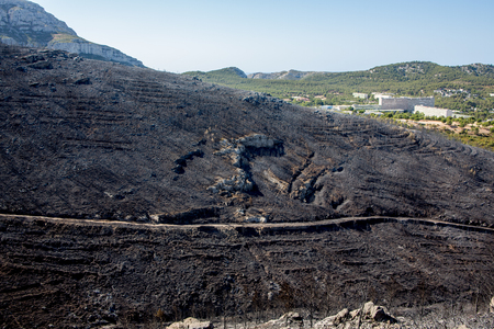 Dammage after Burn Forest / Marseille La Ginesteの写真素材