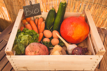 Basket of organic vegetablesの写真素材