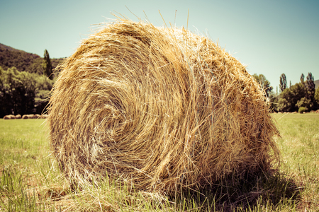 Wheat field after harvest / Straw balesの写真素材