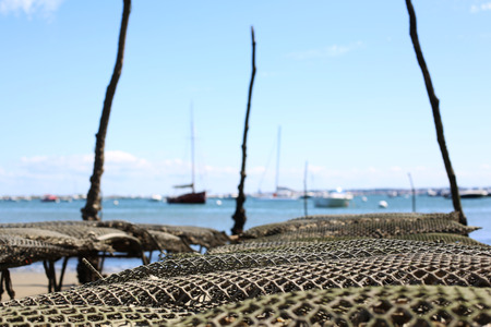 Oysters Park in Bassin Of Arcachon in Franceの写真素材