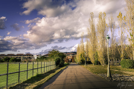 City park with fall colorsの写真素材