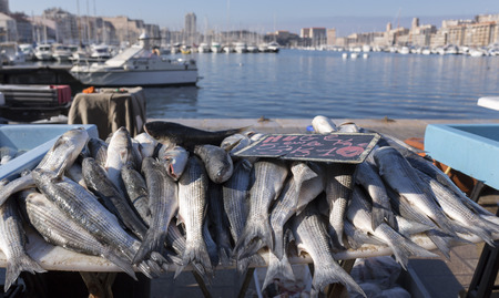 Fishing market on the Old Port of Marseille in Franceの写真素材