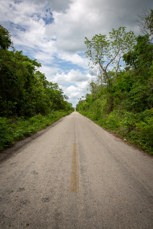 Empty road in the middle of the jungle in Mexicoの写真素材