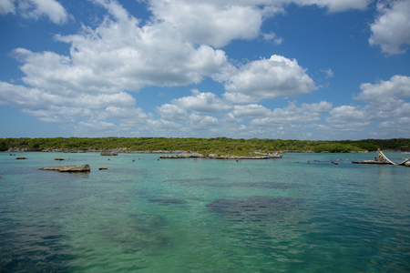 Xel-Ha lagoon reserve in Mexico Yucatan tourists parkの写真素材