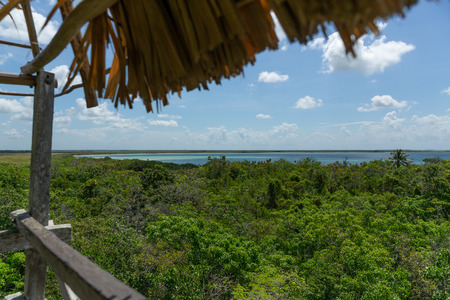 Sian kaan lagoon and jungle reserve point of view from aboveの写真素材