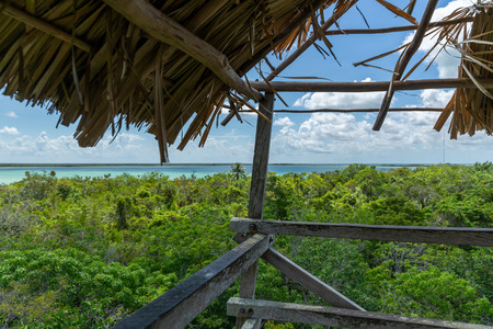 Sian kaan lagoon and jungle reserve point of view from aboveの写真素材