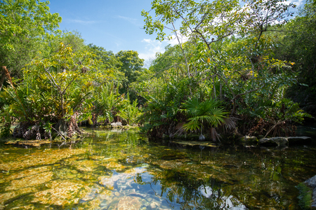Cenote Azul near Tulum in Tropical jungle of Mexicoの写真素材