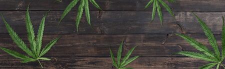 cannabis marijuana plan on wooden table background