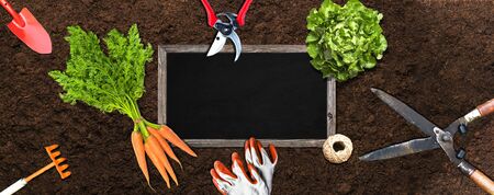 Organic garden with gardening tools and organic vegetables - Illustration banner concept